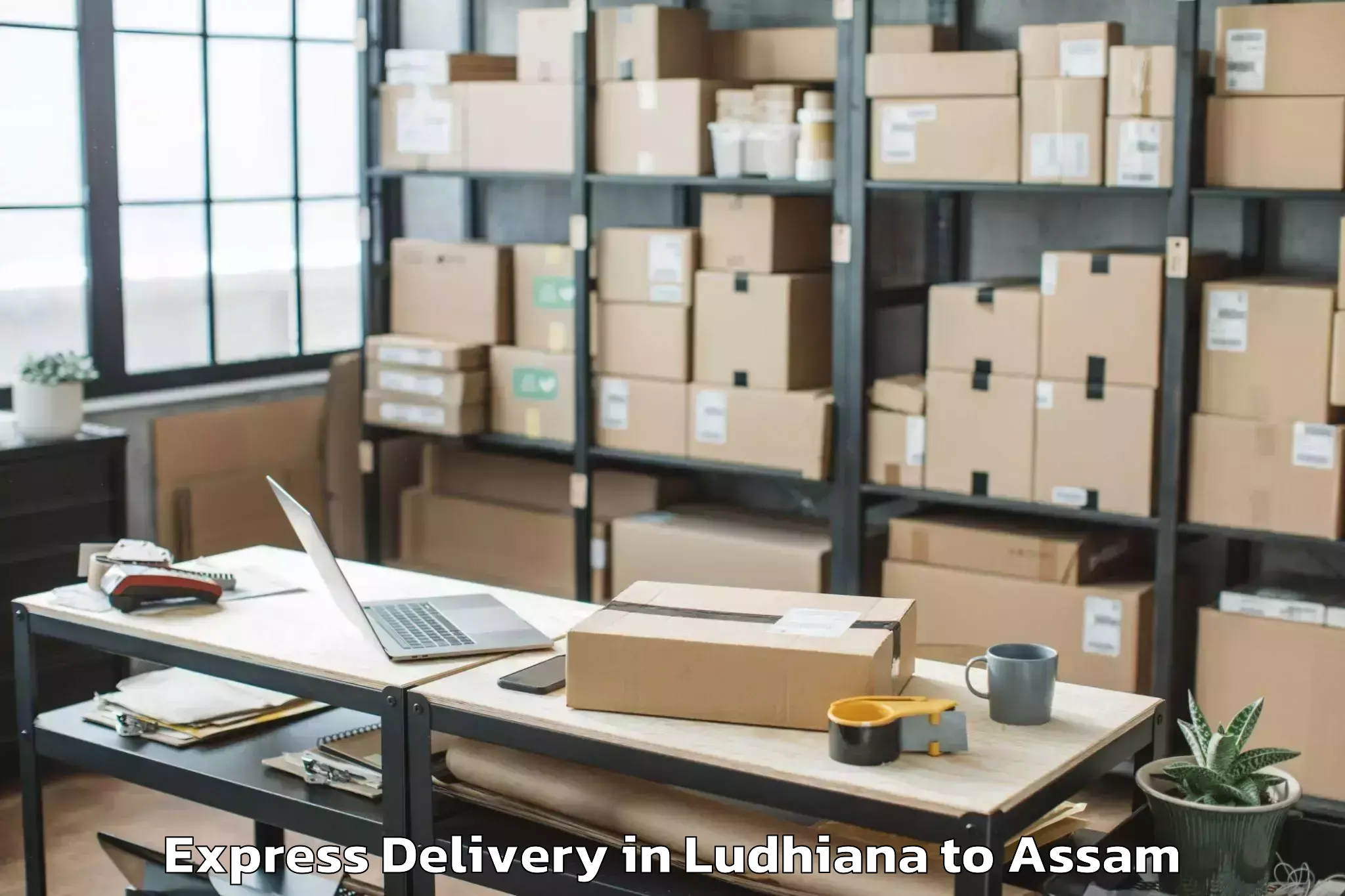 Quality Ludhiana to Sualkuchi Express Delivery